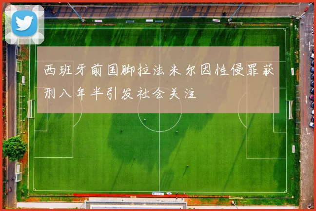 西班牙前国脚拉法米尔因性侵罪获刑八年半引发社会关注
